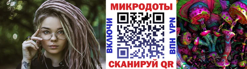 Псилоцибиновые грибы Psilocybe  Пугачёв 